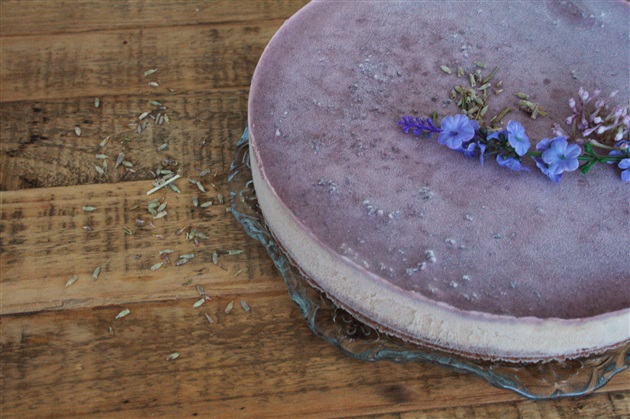 lavender cheesecake